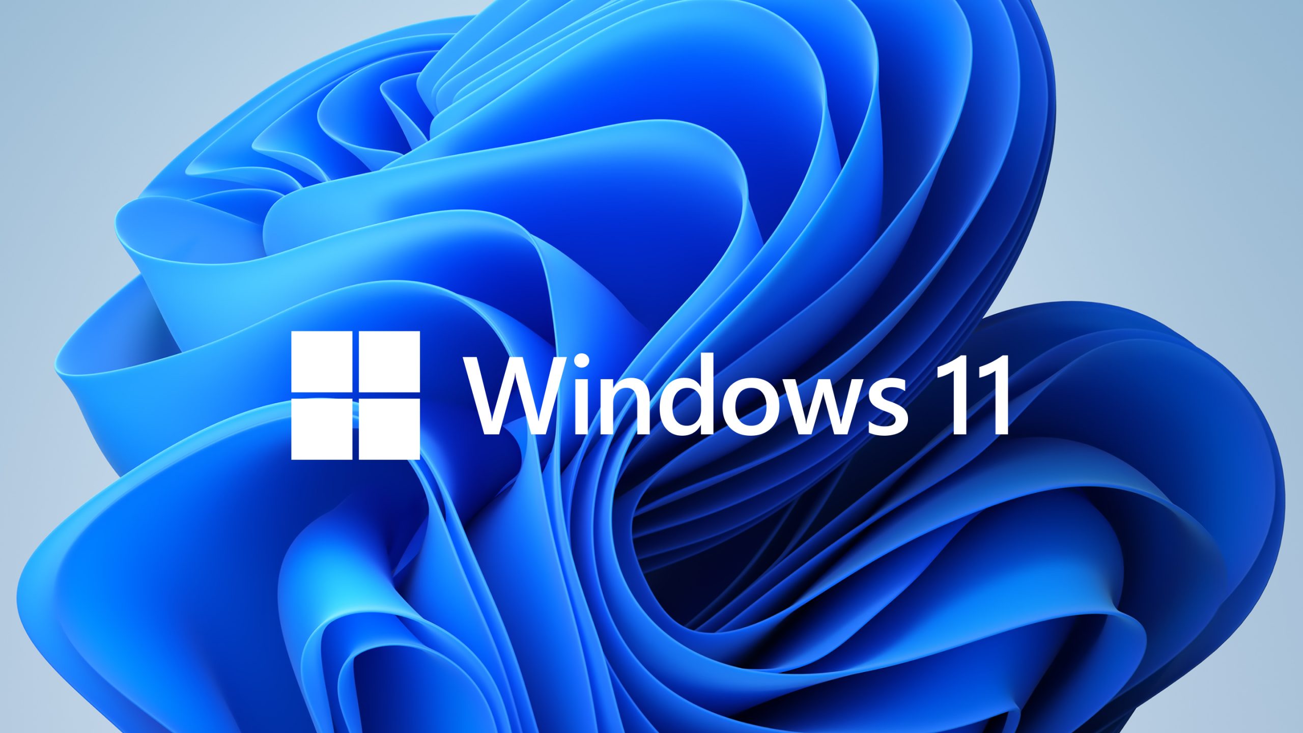 Windows 11 Professional Free Download