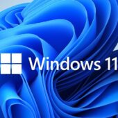Windows 11 Professional Free Download